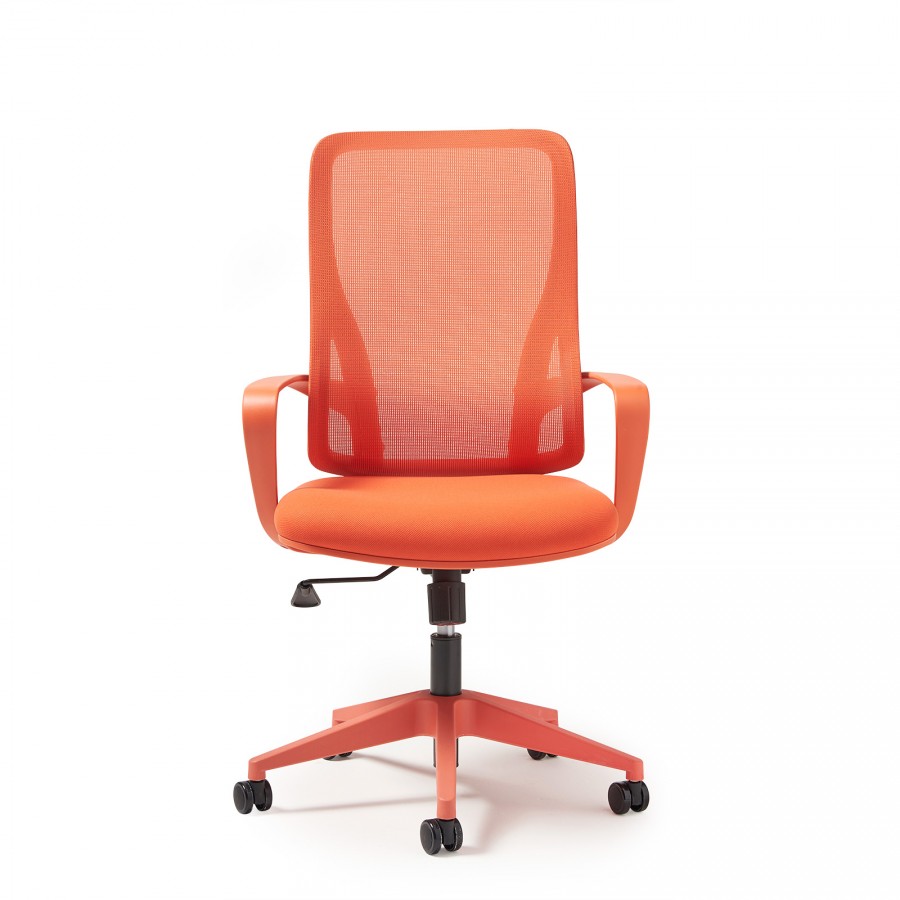 Eva Full Colour Mesh Back Task Chair